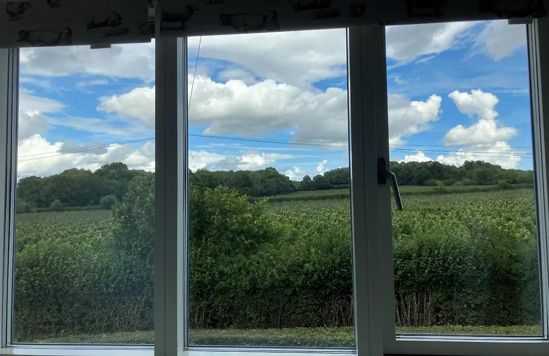 Withy Farm-1